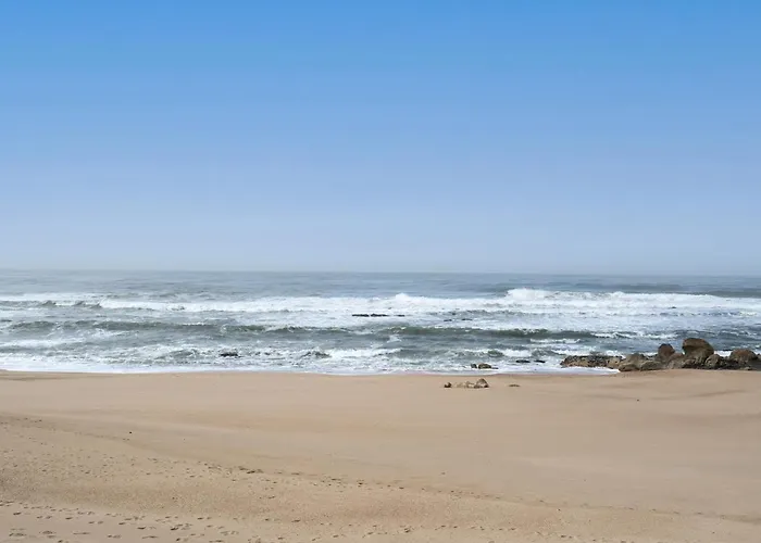 Host Wise - Stunning Modern Flat W Terrace Miramar Gaia Διαμέρισμα Βίλα Νόβα ντε Γκάια